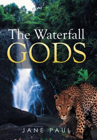 Book Waterfall Gods JANE PAUL