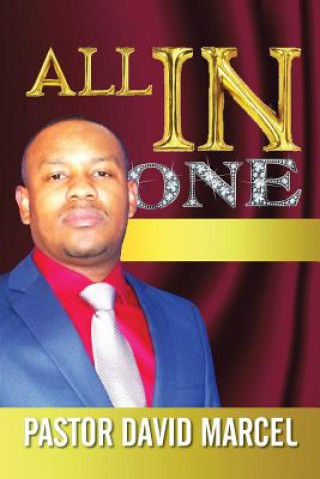 Kniha All in One Pastor David Marcel