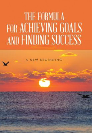 Книга Formula for Achieving Goals and Finding Success Rod Burns