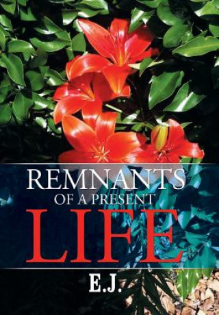 Könyv Remnants of a Present Life E J