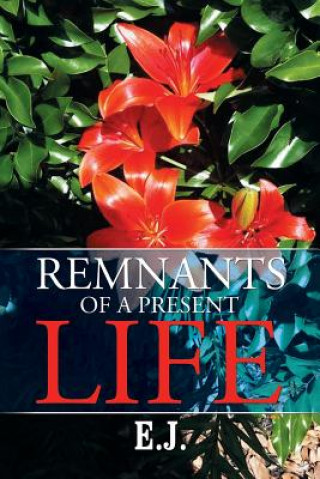 Книга Remnants of a Present Life E J