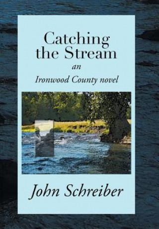 Kniha Catching the Stream John Schreiber