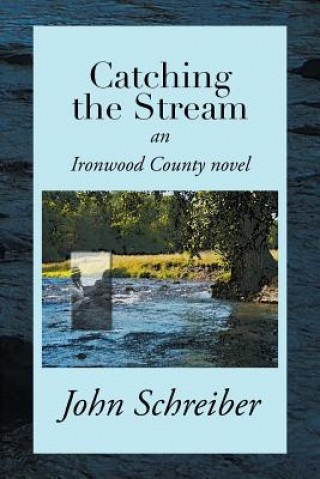 Kniha Catching the Stream John Schreiber