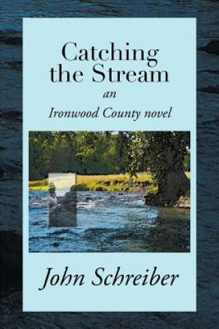 Libro Catching the Stream John Schreiber