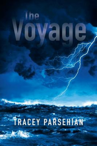 Könyv Voyage Tracey Parsehian