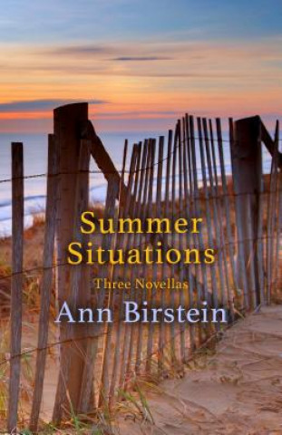 Kniha Summer Situations Ann Birstein