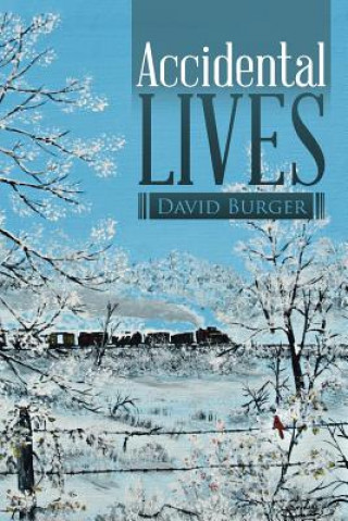 Kniha Accidental Lives David Burger