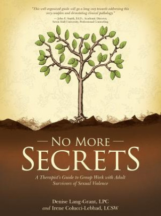 Buch No More Secrets Denise Grant Lpc & Irene Lebbad Lcsw