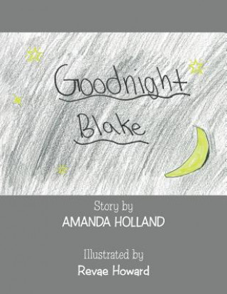 Kniha Goodnight Blake Amanda Holland