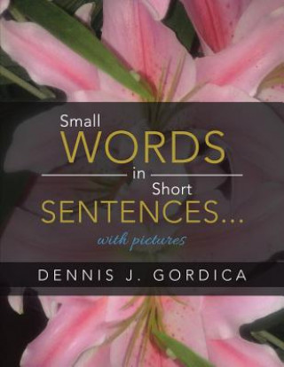 Carte Small Words in Short Sentences...with pictures Dennis J Gordica