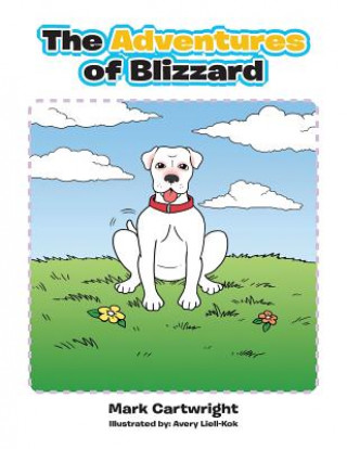 Book Adventures of Blizzard Mark Cartwright