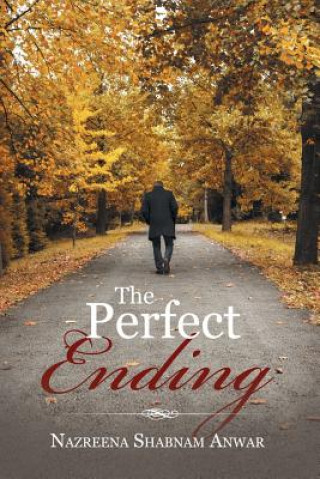 Livre Perfect Ending Nazreena Shabnam Anwar