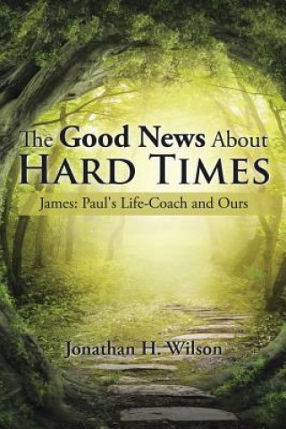 Kniha Good News About Hard Times Jonathan H Wilson