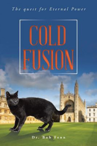 Książka Cold Fusion Dr Bob Fenn