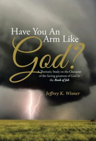 Buch Have You An Arm Like God? JEFFREY K. WISNER