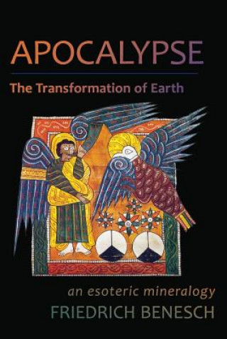 Livre Apocalypse: The Transformation of Earth Friedrich Benesch