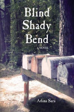 Carte BLIND SHADY BEND A Novel Adina Sara