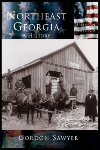 Kniha Northeast Georgia GORDON SAWYER
