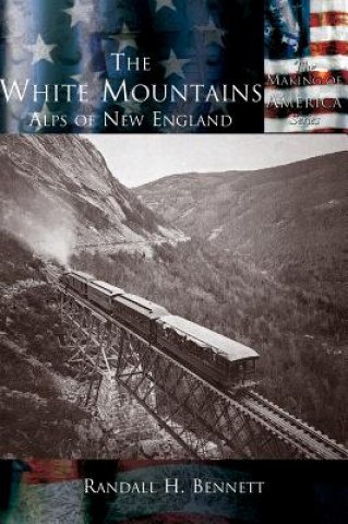 Kniha White Mountains Randall H Bennett