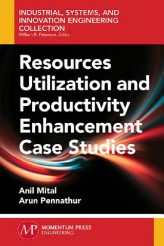 Książka Resources Utilization and Productivity Enhancement Case Studies Mital