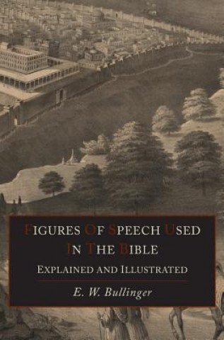 Könyv Figures of Speech Used in the Bible Explained and Illustrated E W Bullinger