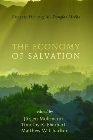 Könyv Economy of Salvation Matthew W. Charlton