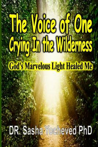 Kniha Voice of One Crying In the Wilderness DR. SA YOCHEVED PHD