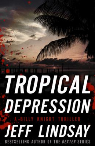 Carte Tropical Depression Jeff Lindsay