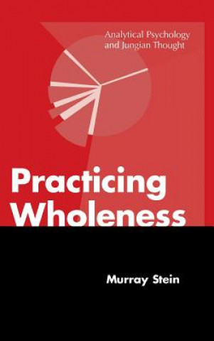 Carte Practicing Wholeness Stein