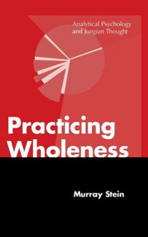 Kniha Practicing Wholeness Stein