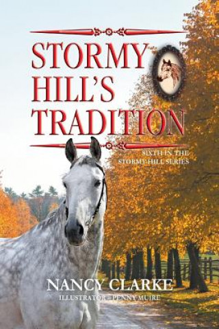 Kniha Stormy Hill's Tradition Nancy Clarke
