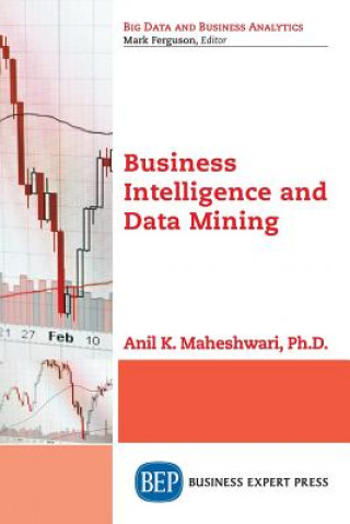 Kniha Business Intelligence and Data Mining Anil Maheshwari