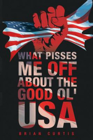 Livre What Pisses Me Off About The Good Ol' USA Brian Curtis