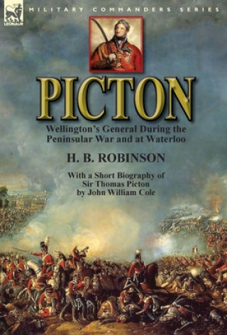 Carte Picton H B Robinson