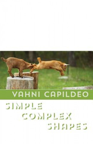 Knjiga Simple Complex Shapes Vahni Capildeo