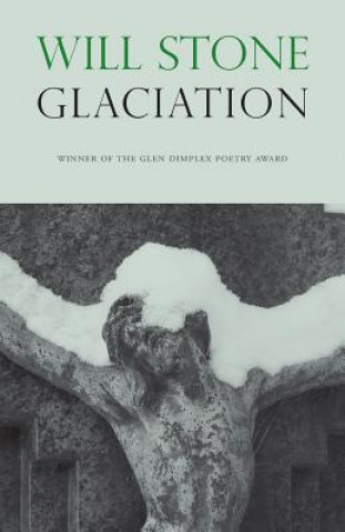 Libro Glaciation Will Stone