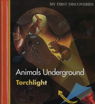 Kniha Animals Underground Claude Delafosse
