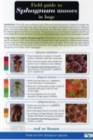 Carte Field Guide to Sphagnum Mosses in Bogs John O'Reilly