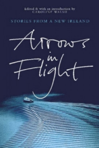 Kniha Arrows In Flight Caroline Walsh