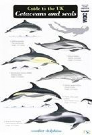 Carte Guide to the UK Cetaceans and Seals Mark Peter Simmonds