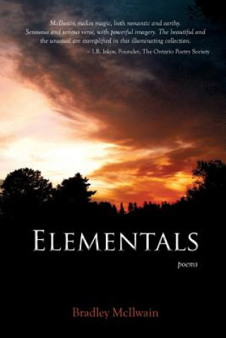 Knjiga Elementals Bradley McIlwain