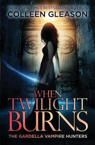 Buch When Twilight Burns Colleen Gleason