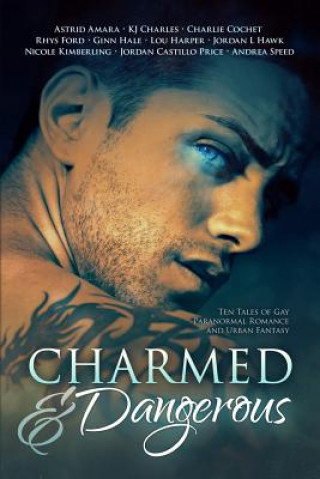 Buch Charmed and Dangerous Jordan Castillo Price