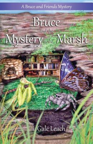 Könyv Bruce and the Mystery in the Marsh Gale Leach