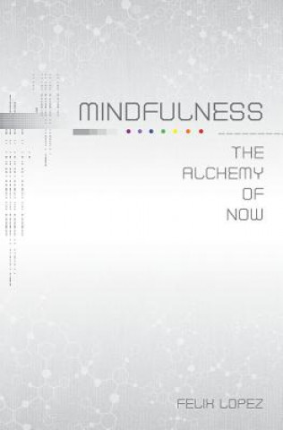 Boek Mindfulness Felix Lopez