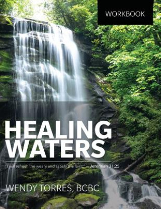 Книга Healing Waters Wendy Torres