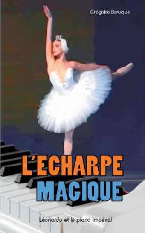 Kniha L'echarpe magique Gregoire Baruque