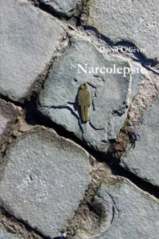 Kniha Narcolepsie David Lelievre