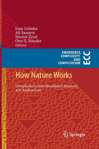 Könyv How Nature Works Otto E. Rössler