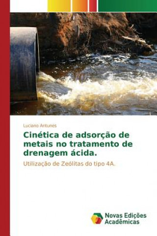 Książka Cinetica de adsorcao de metais no tratamento de drenagem acida Antunes Luciano